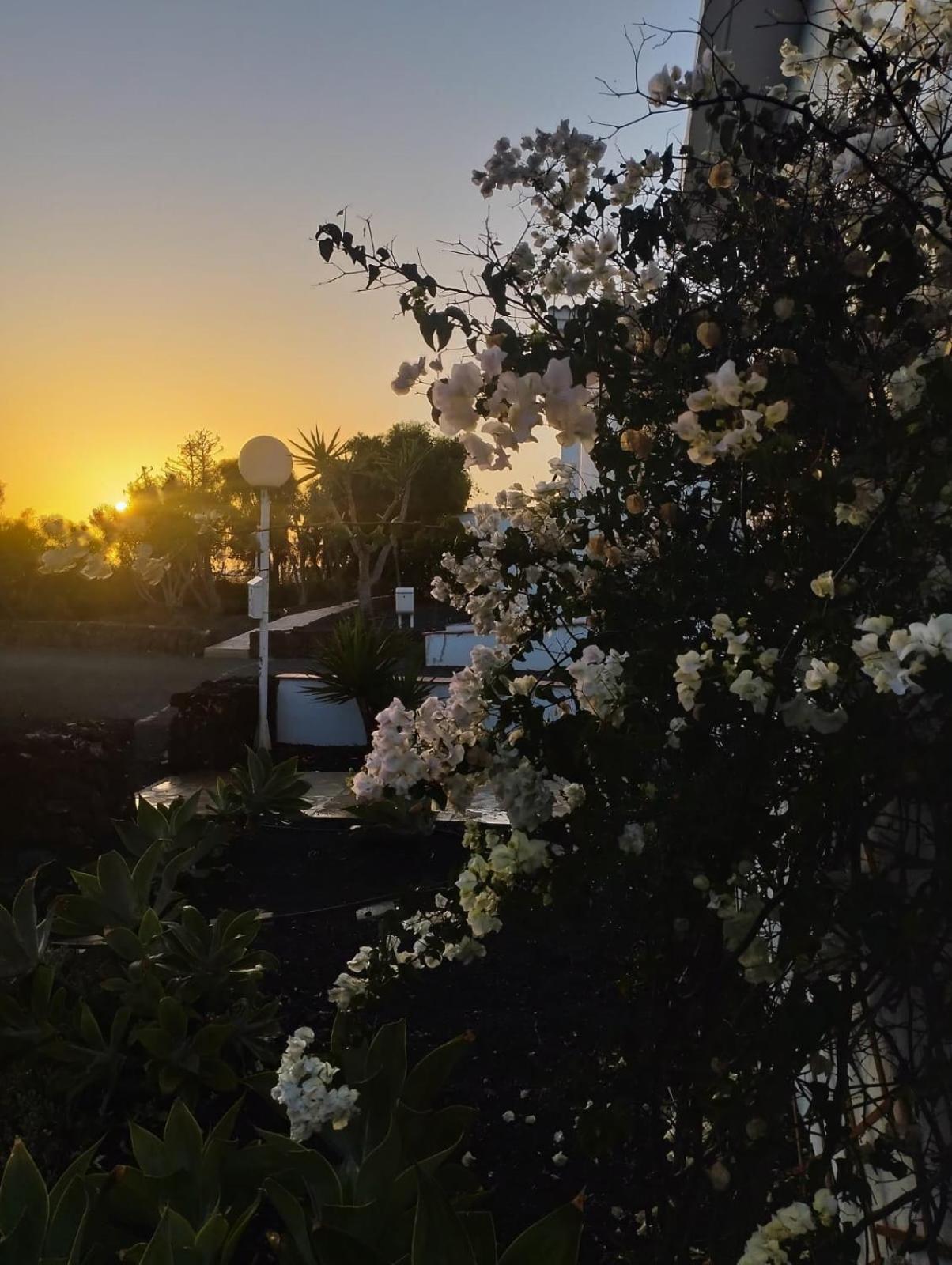 Casa Ina In El Roque, El Cotillo Εξωτερικό φωτογραφία