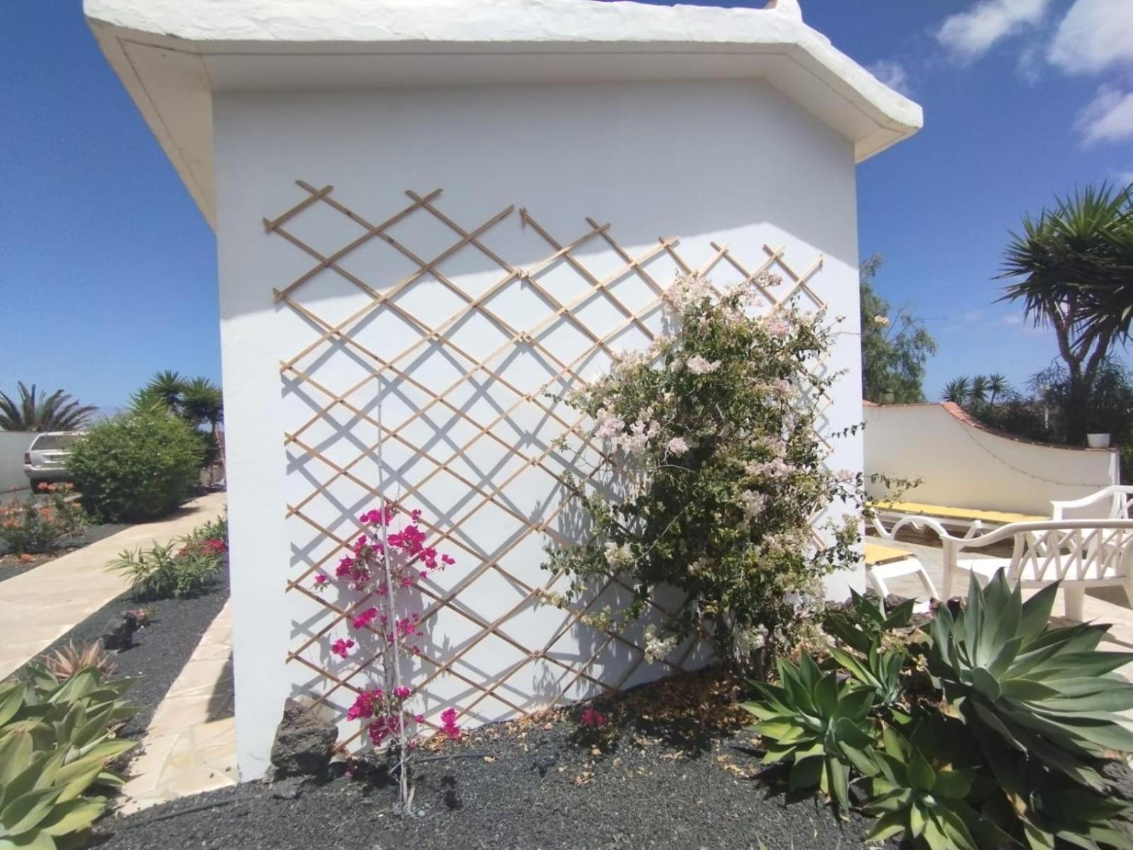 Casa Ina In El Roque, El Cotillo Εξωτερικό φωτογραφία